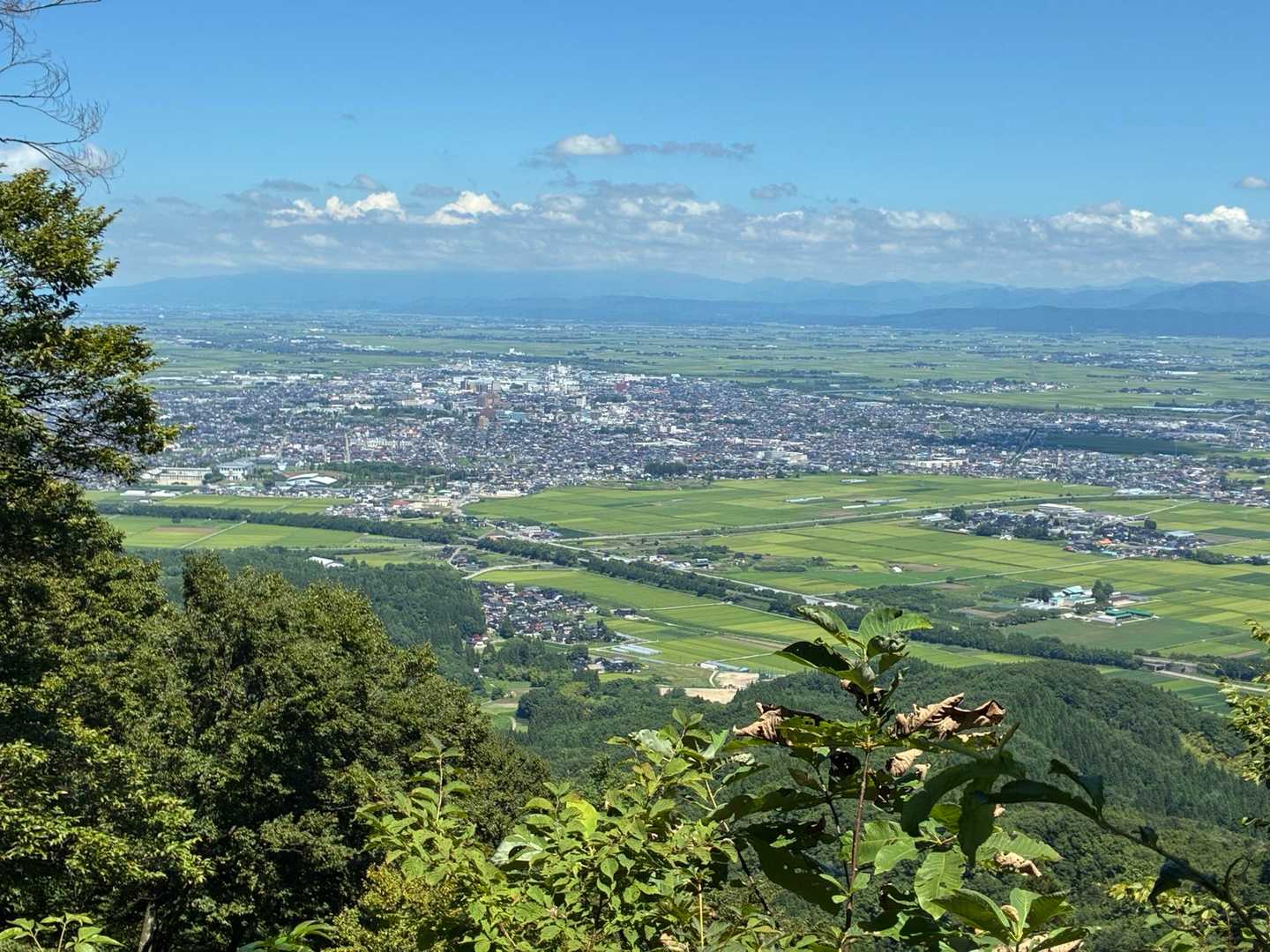 途中で庄内平野
