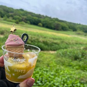 山とも手作りのパフェ🥝(^O^)
