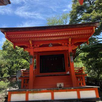 この下の方で分岐。
こっから下山まで誰1人会わなかったな、、、
寂しかったわ、、