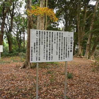 白山城の本丸跡でもあります。