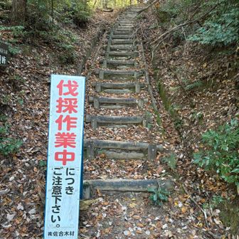 今は伐採作業らしいですが、週末はお休みなので通行可能らしい