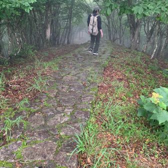 ここを降って、龍神岳へ向かいます