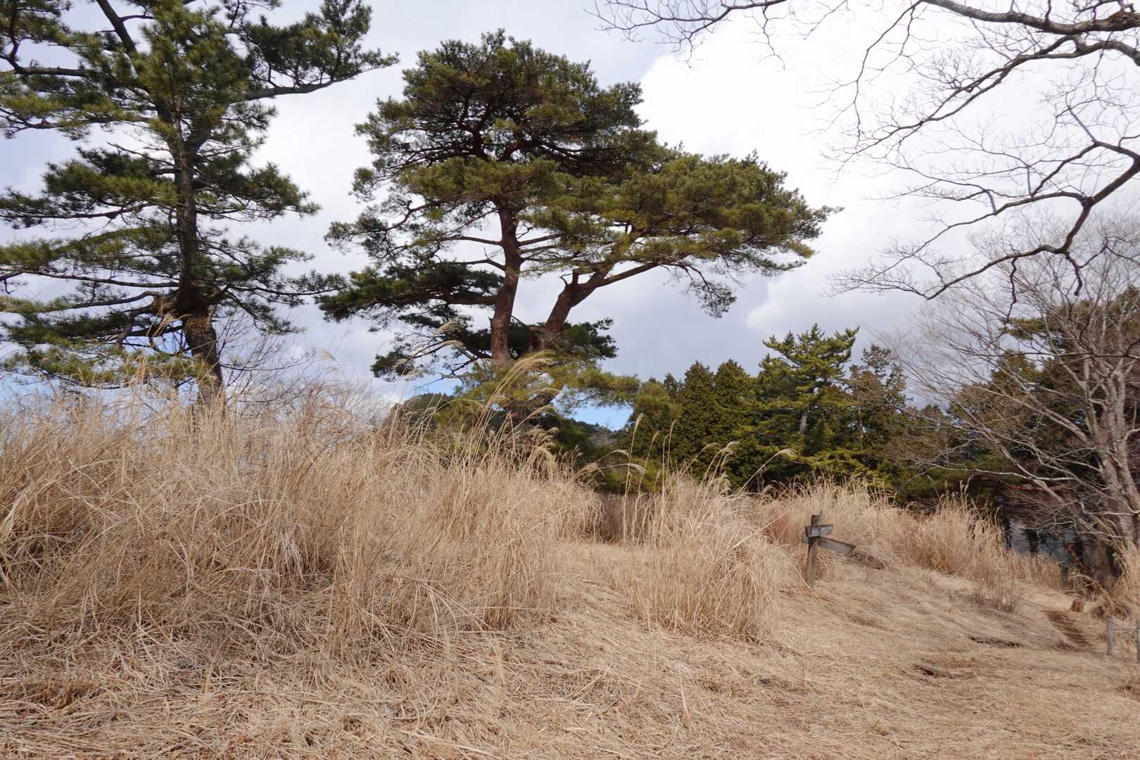 やっぱり1分で山頂に到着　得した気分？　つまりあと10分の道標から2分ちょっとで到着です