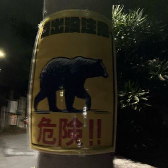 🐻まだ出るかな⁉️
まずは男坂から行く🏃