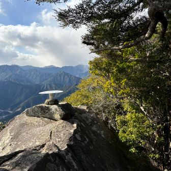 ここ覗いたら直下で驚いた