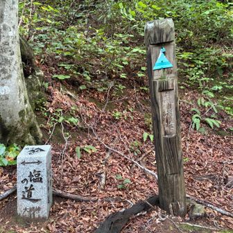 大網峠（おなわ）の案内看板💁