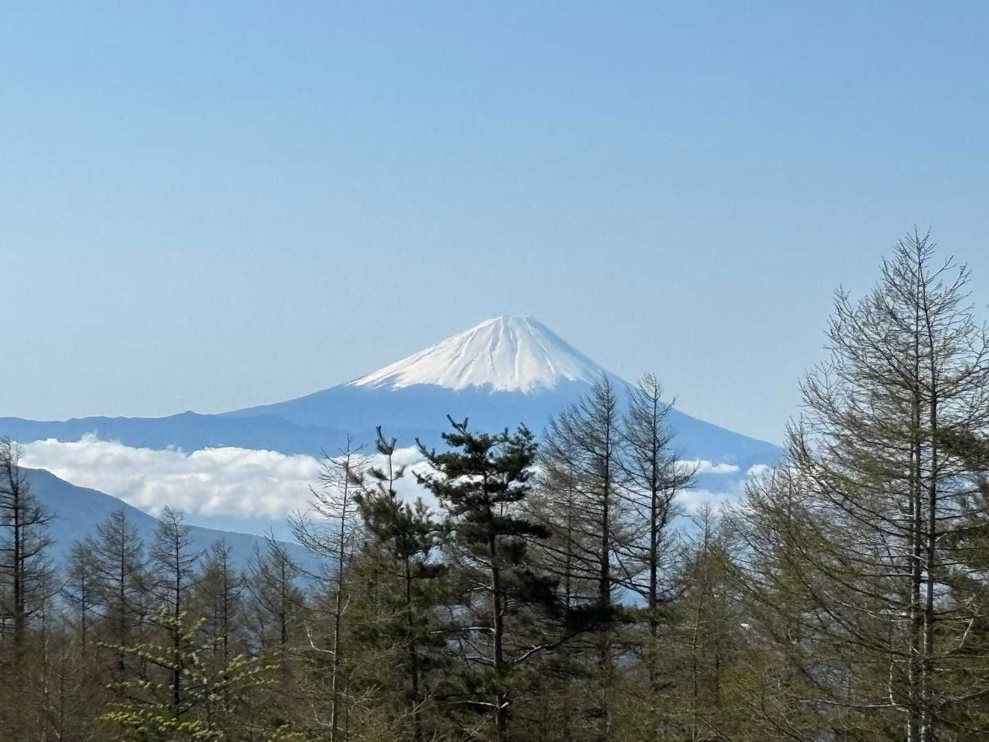 眺望よし。「八ヶ岳らしさ」を感じられる岩場と稜線の三ツ頭往復コースの写真