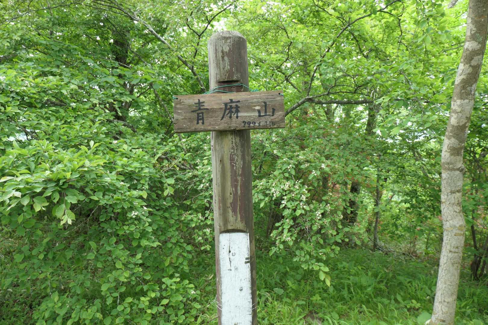 青麻山山頂。
一部眺望あり。