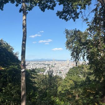 サッポロシティ🏙️