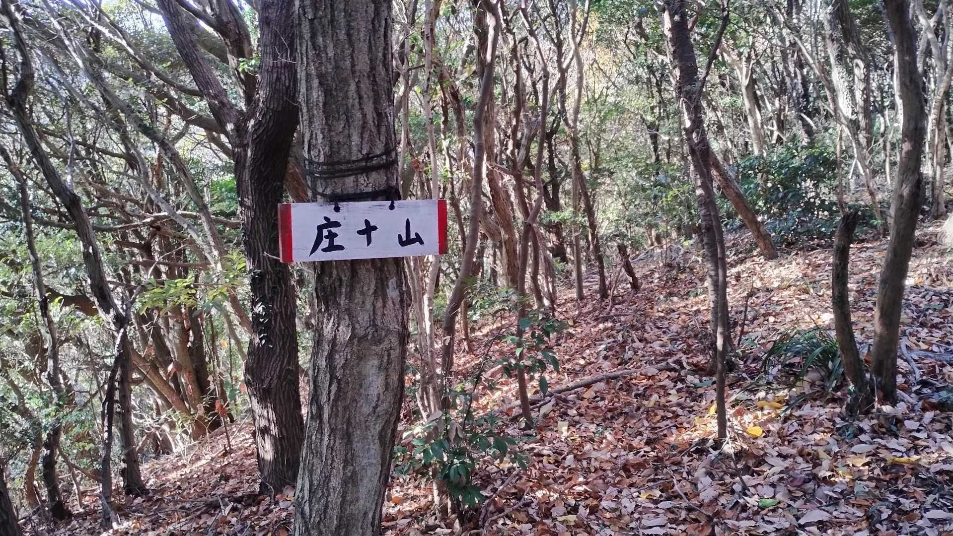 庄十山-藤尾山-中西山-衣笠山 周回コースの写真