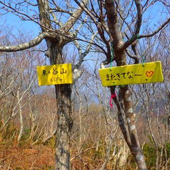 本日ラストはここ！
東ケ谷山〜
一休みしようかな