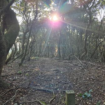 さぁ～のんびりはできません🚶