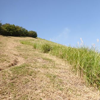 のぼるのぼる