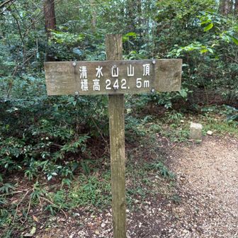 清水山🙌

清水寺辺りの観光はしませんでした😗