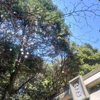 熊山神社到着。