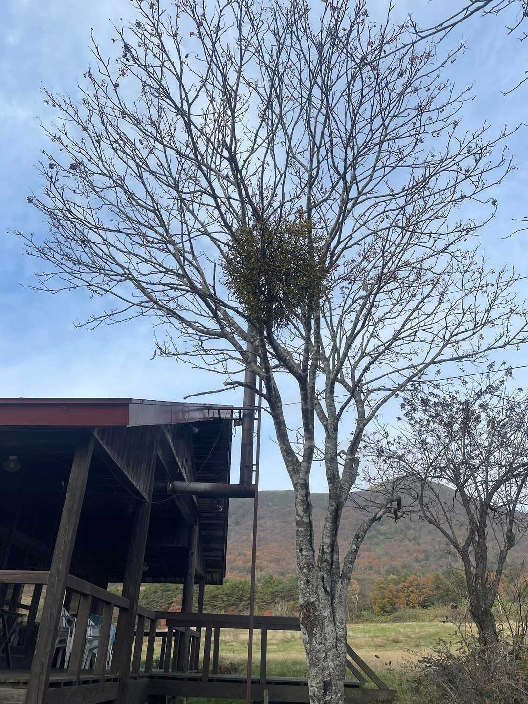 うっすら青空が見えてきたところでゴールです♪
お疲れ様でした٩( ᐛ )و
会の皆様、来年度もよろしくお願いします♡