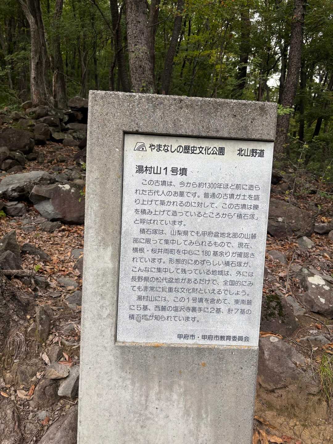 湯村山登山口-湯村山 往復コースの写真