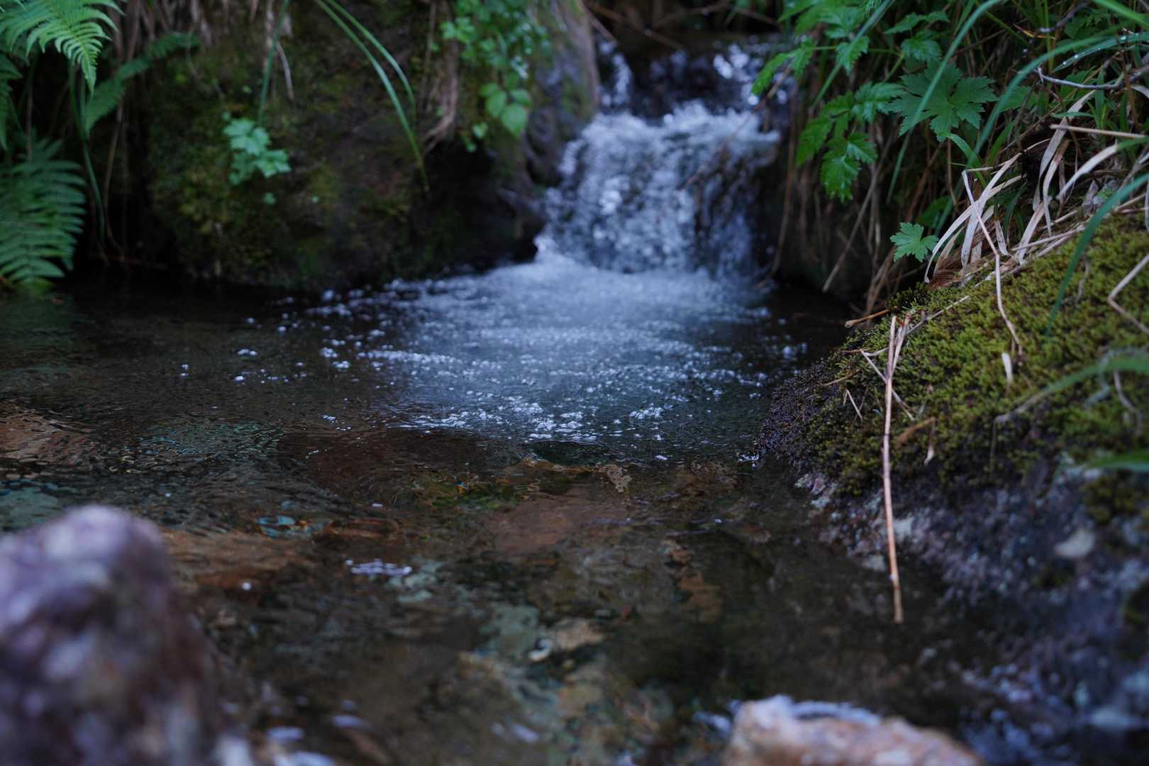 水が冷たくて綺麗です。