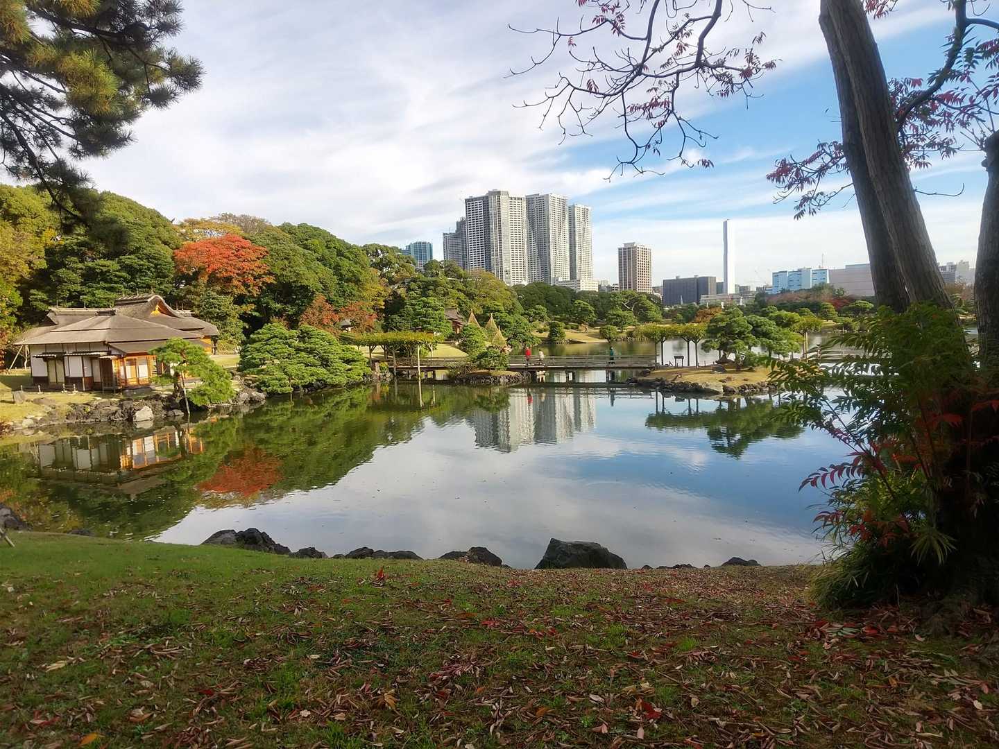 浜離宮恩賜庭園 周回コースの写真
