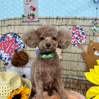 きたきたきたー