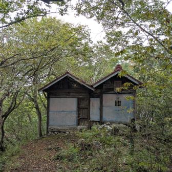 菅原神社です⛩️途中登山道の分岐を登ったら神社の後ろに出てしまいました😰