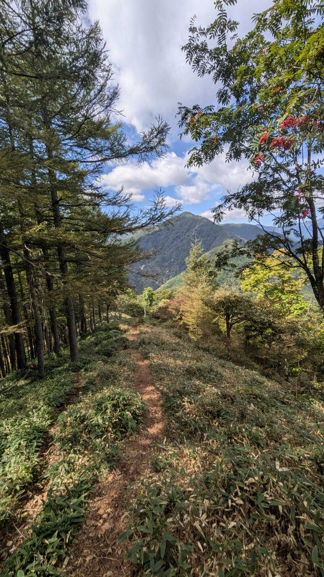 半月山登山口-半月峠-中禅寺山-阿世潟峠 往復コースの写真