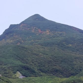 上の方がちょっと色づいてる🍁
