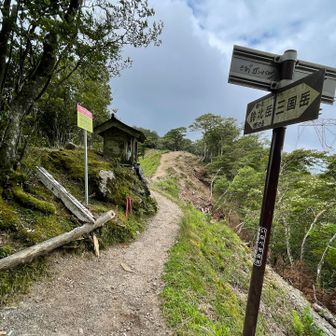 分岐まで来ました〜
ここまでが急登なんですよね💦
