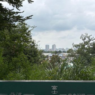 本日はあいにくの空模様で富士山や丹沢の山々が見えない。