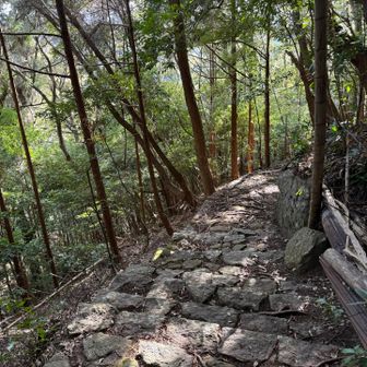 観音道で、下山😍