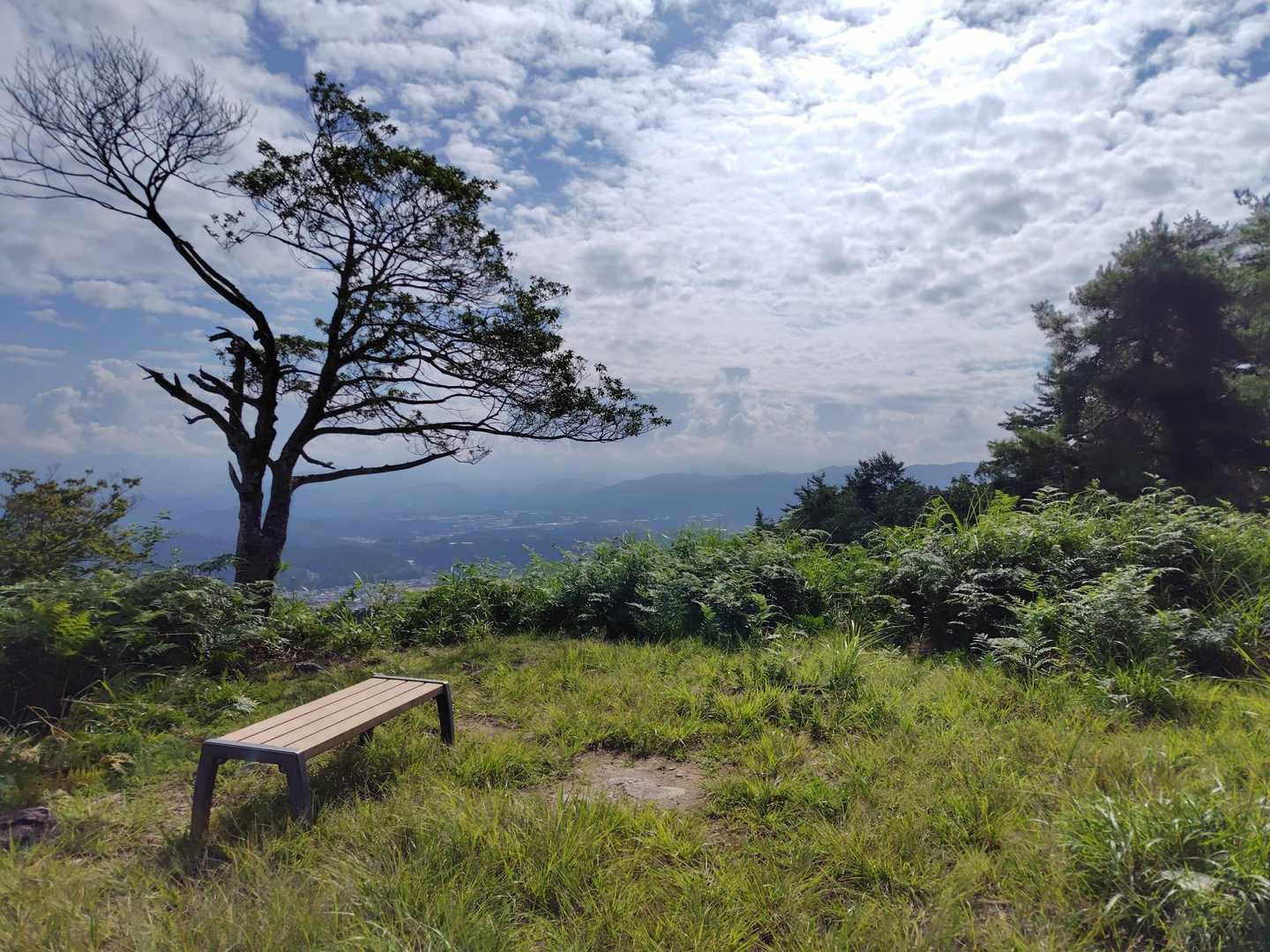 原山-松倉山 往復コースの写真
