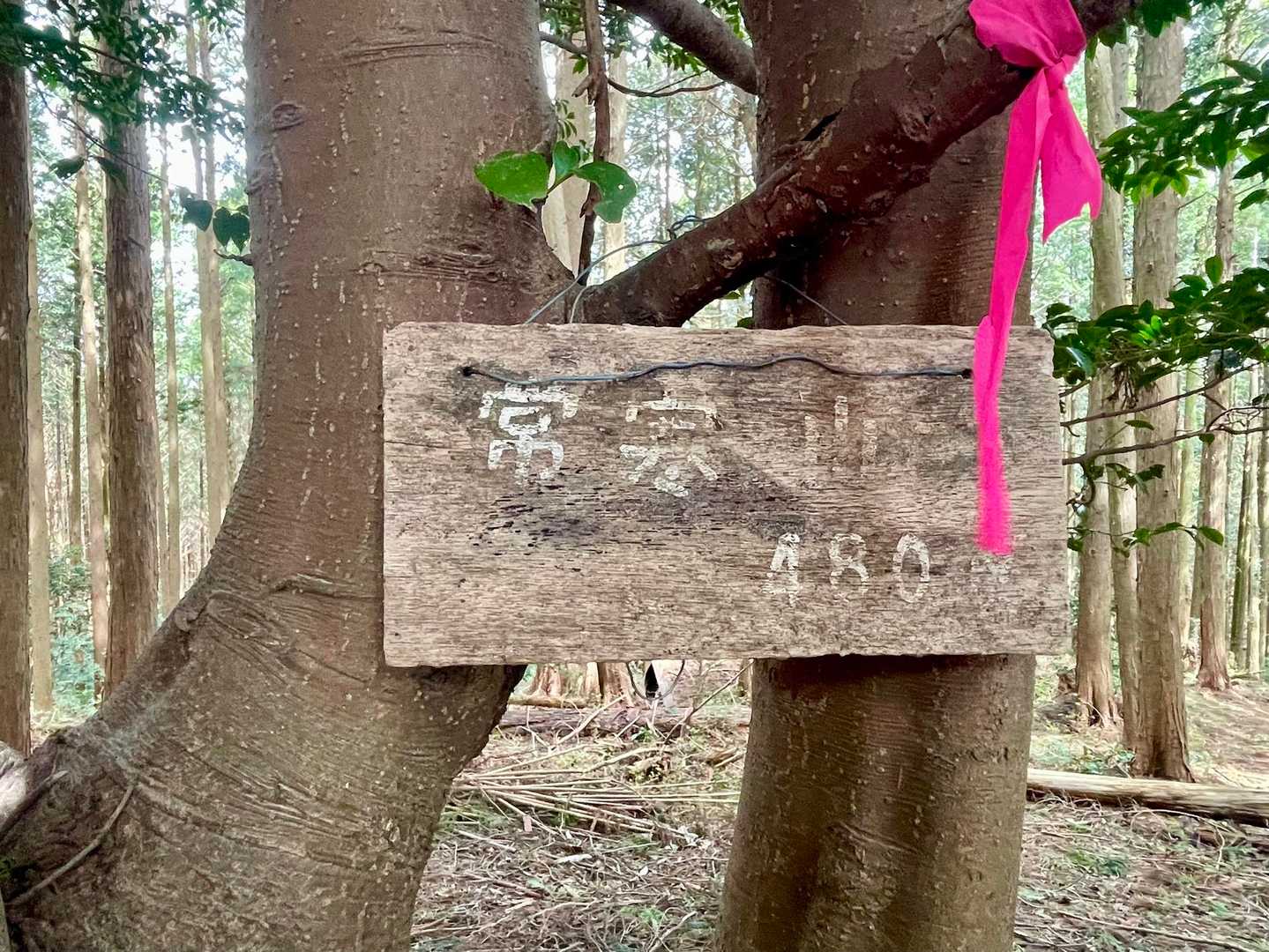 船着山-松山峠-常寒山-万燈山 周回コースの写真