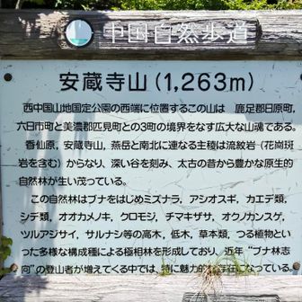 説明板