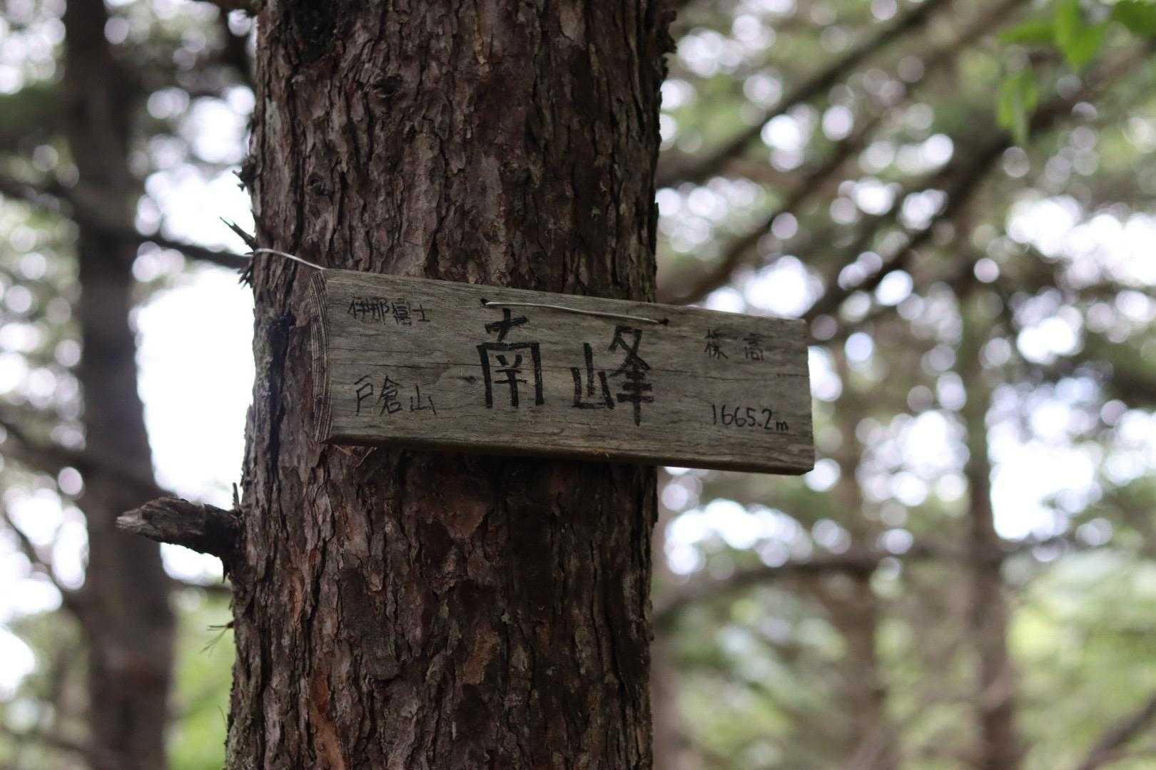 戸倉山 往復コースの写真