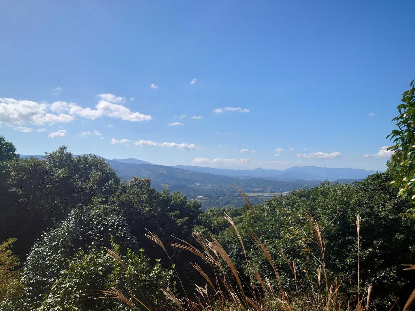 山頂到着