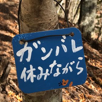 ヤスぽん