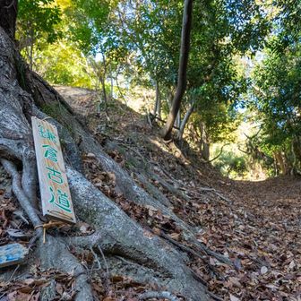 やまっぺさん作　鎌倉古道の看板👏