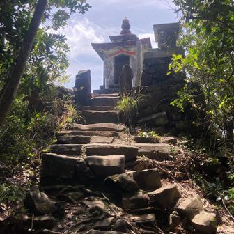 あそこに登ってみる