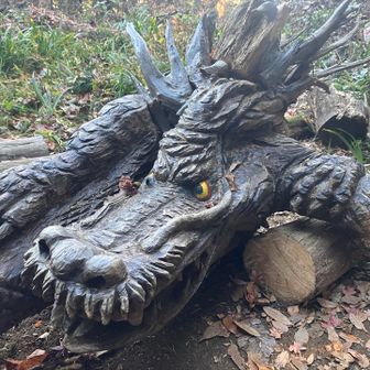 どうやって写真におさめるのが正解かわからんほど長い、西山の龍🐉