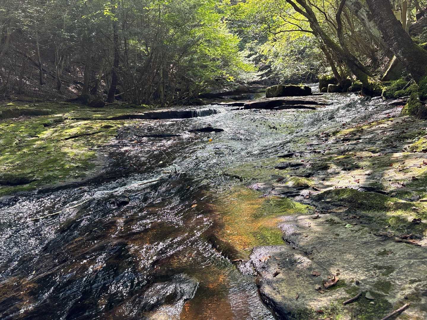 るり渓深山ハイキングコース入口-深山-舩谷山-興山-掃雲峰 周回コースの写真