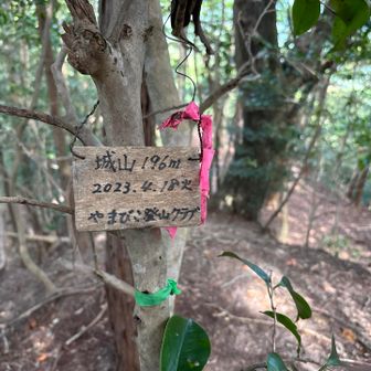 城山登頂