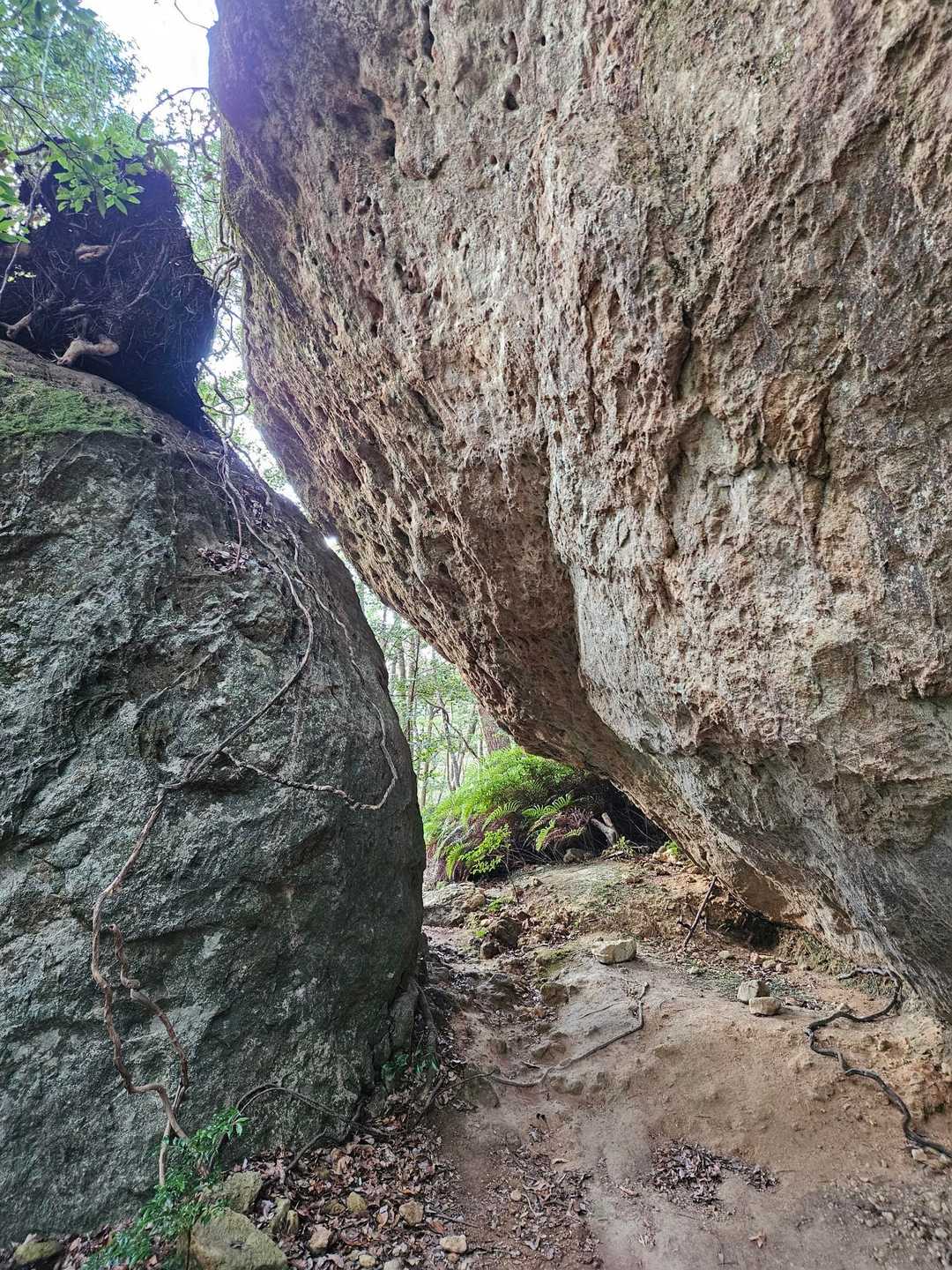 間を通って向こうへ行けます。
（でも、その先は登山道ではない）