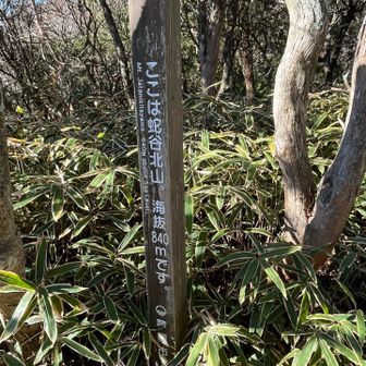 蛇谷北山ピーク
芦屋市最高峰