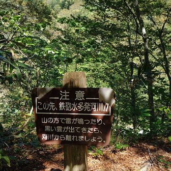 「鉄砲水多発河川」の注意看板が立っていました。
渡渉は三箇所あります。
お天気が悪い時や増水時は、特に注意が必要なエリアですね⚠️