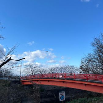 C-130が次々に離陸していきました
この後でF-2も離陸しました
午後の訓練開始か…