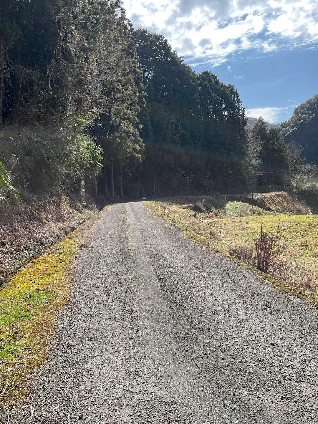 ほっこり道路☺️