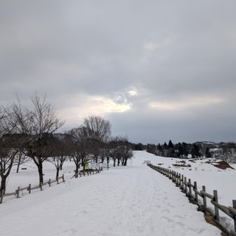 雪は結構締まってて
雪の無い所は凍ってて、油断してると滑ります💦
