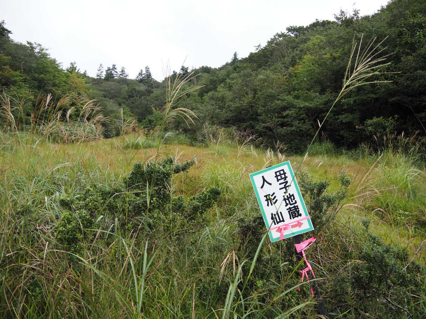 分岐の辺りは湿地帯で足場板が敷いてあるのですが、雨で濡れているので滑り易くて危険でした。⚠️