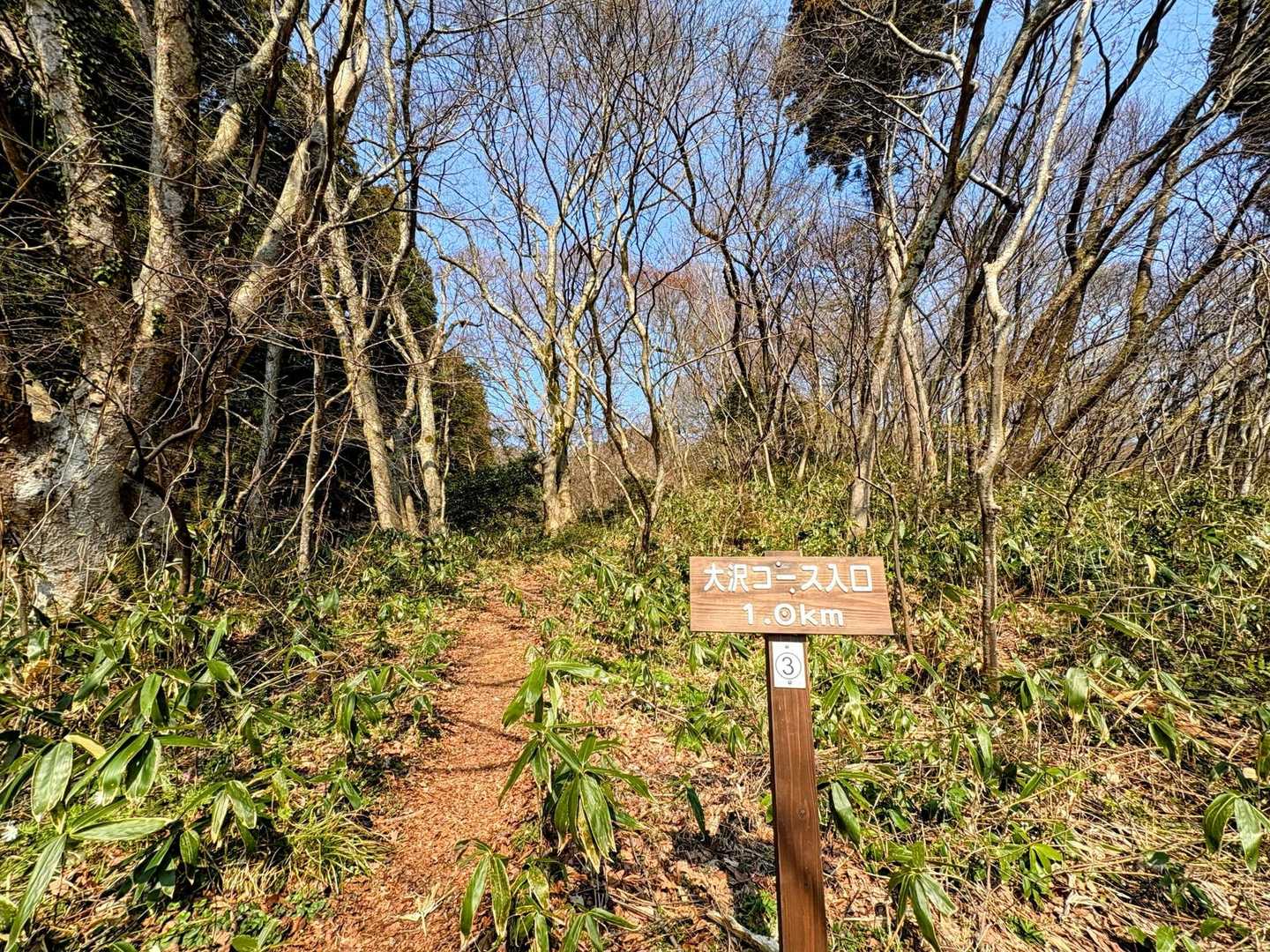 高館山-八森山 周回コースの写真