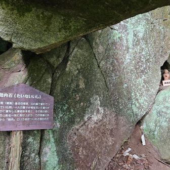 説明板と、賽銭箱へといざなうお人形😁